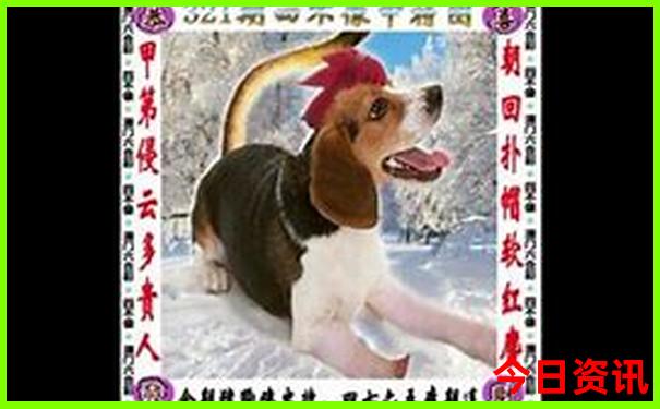 暑假带孩子去青岛好玩吗